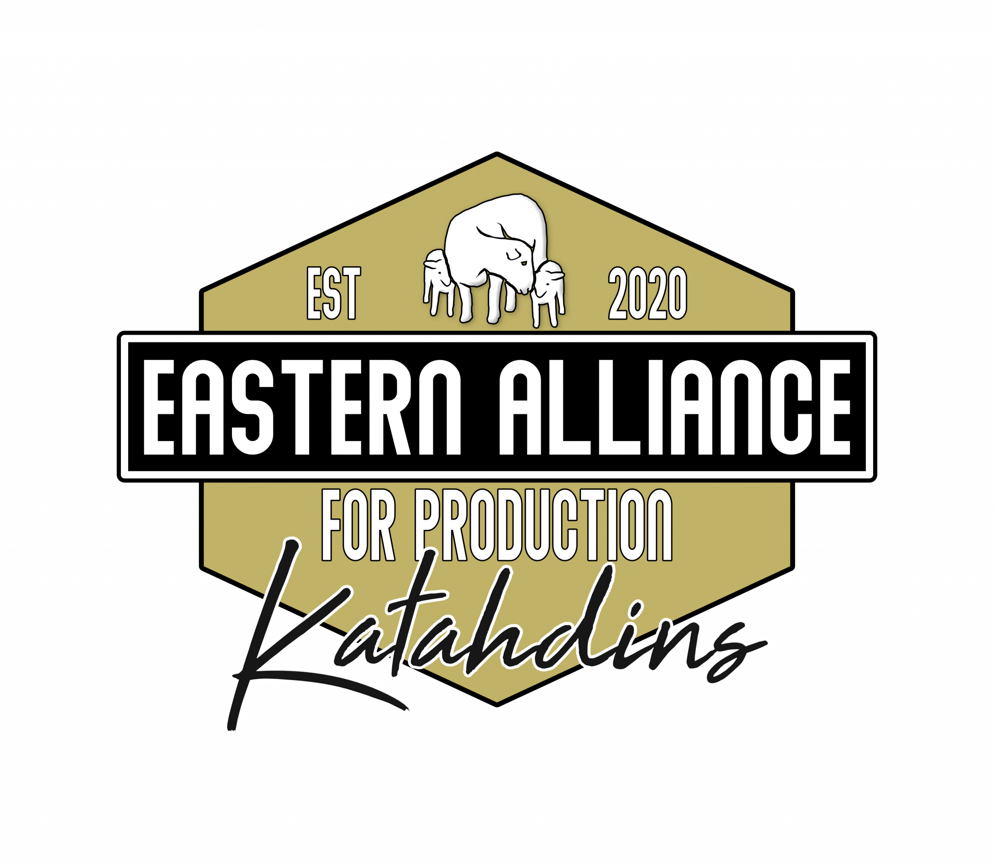 Payment Eastern Alliance for Production Katahdins