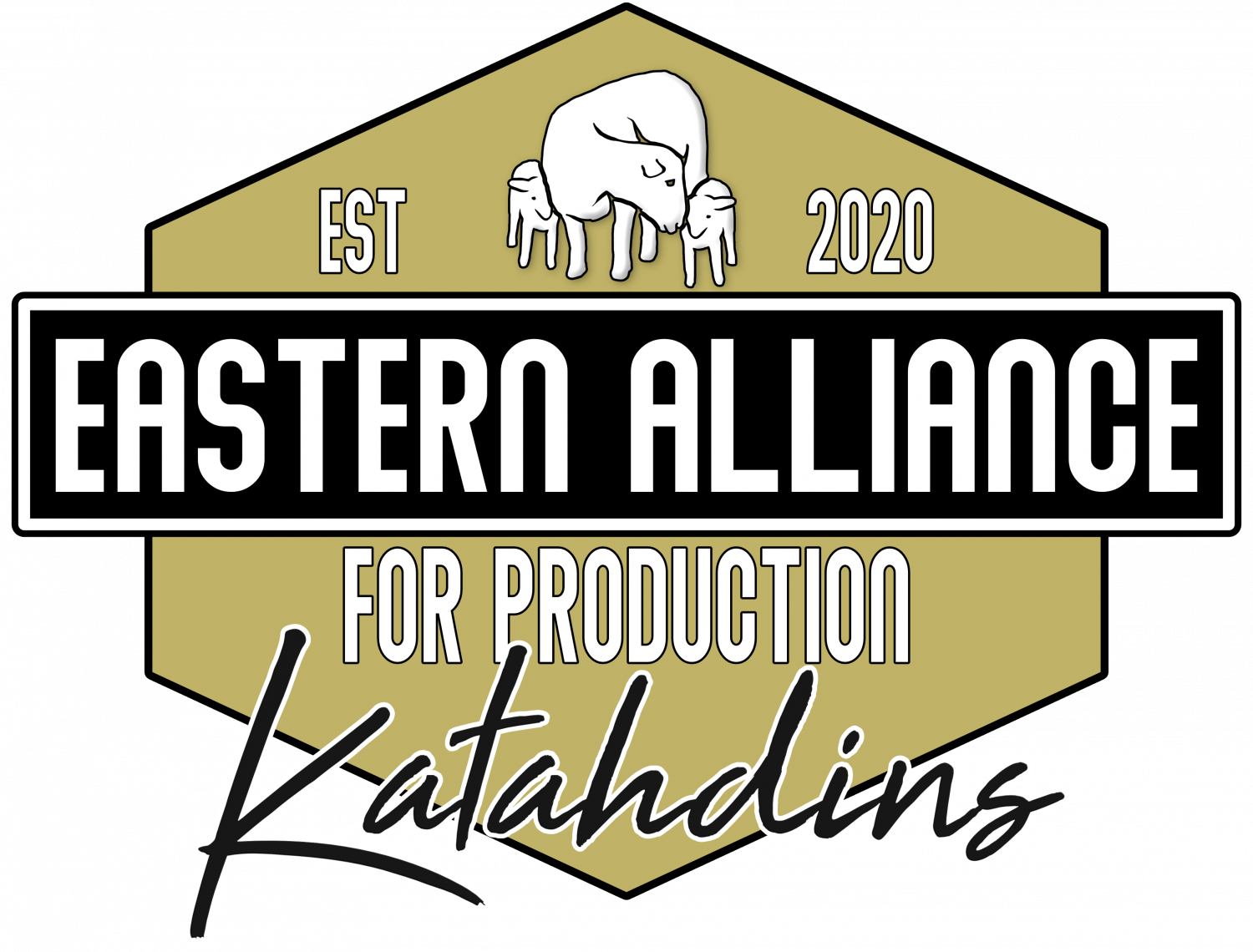 Eastern Alliance for Production Katahdins