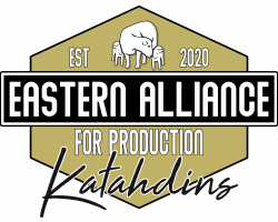 Eastern Alliance for Production Katahdins
